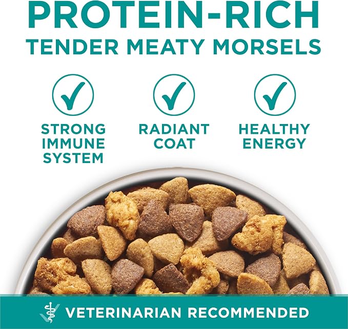 Purina ONE Plus Digestive Health Dry Dog Food, Chicken, 31.1 lb Bag | High protein dog food with probiotics for digestive support, made for adult dogs with sensitive stomachs