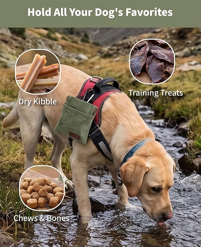 3 Pcs Dog Treat Pouches for Pet Training & Poop Bag Holder for Leash, Hands-Free Portable Auto-Closing Puppy Snack Bag with Carabiner for Travel Or Outdoors