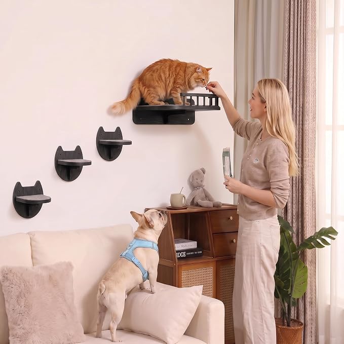 Cat Wall Shelves, Floating Bed with 3 Cat Wall Steps - Black | Pre-Drilled Anchor Kit for Easy Mount, Cozy Spot for Climbing & Play, Indoor Cats up to 18 lbs, Solid FSC Birch Wood