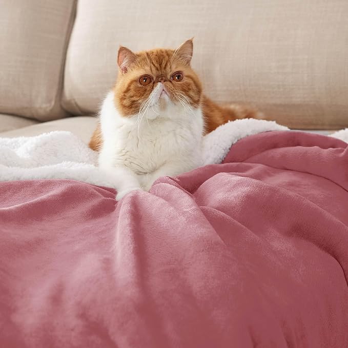 Bedsure GentleSoft Sherpa Fleece Blanket Queen Size for Bed, Non-Heated, Thick and Warm Throw for Women and Men, Soft Fuzzy Plush Queen Blanket for Winter, Dusty Rose, 90x90 Inches