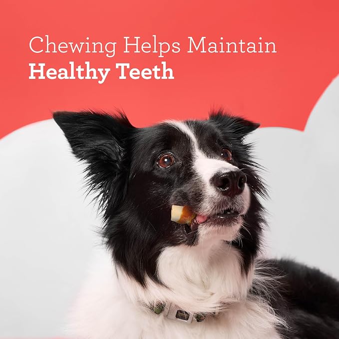 DreamBone Chicken Wrapped Mini Stick Rawhide-Free Dog Treats, 15 Count | Daily Chew, Digests Safely and Completely, Made With Real Protein, Chicken and Veggies, For Adult Dogs