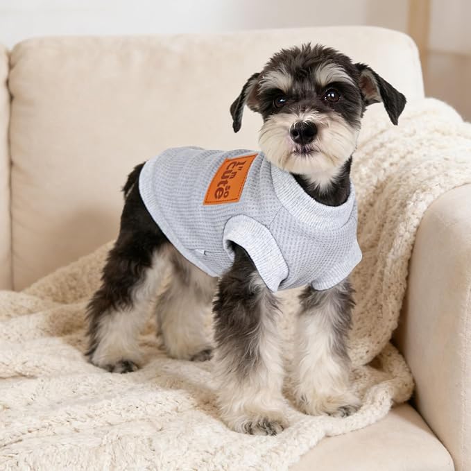 2 Pack Dog Shirt Vest Dog Clothes for Small Dogs Summer Waffle Puppy T-Shirts Soft Sleeveless Pet Clothes Lightweight Medium Large Doggy Outfit Cat Clothing (Blue+Grey, X-Small)