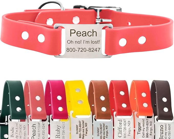 dogIDs Personalized Dog Collar – ScruffTag Custom Waterproof Biothane Dog Collar with Laser-Engraved Name, Durable & Odor-Resistant – USA Made | Coral, 1 in x 18 in (Fits Neck Sizes 16-20 in)