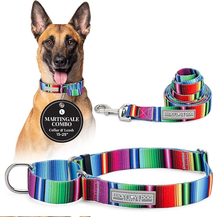 Lucky Love Dog Martingale Collar & Leash Set Cute – Nacho Color and, Large