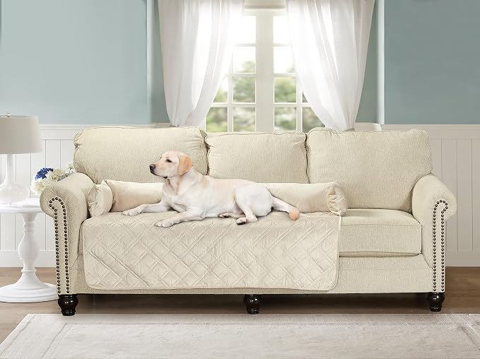 Brilliant Sunshine Beige Natural Velvet Dog Sofa Slipcover, Extra Large | Calming Pet Couch Bed with Removable & Washable Cover, Funiture Protector & Bed Mat for Dogs, Pets, Cats, 54"×32"×8"