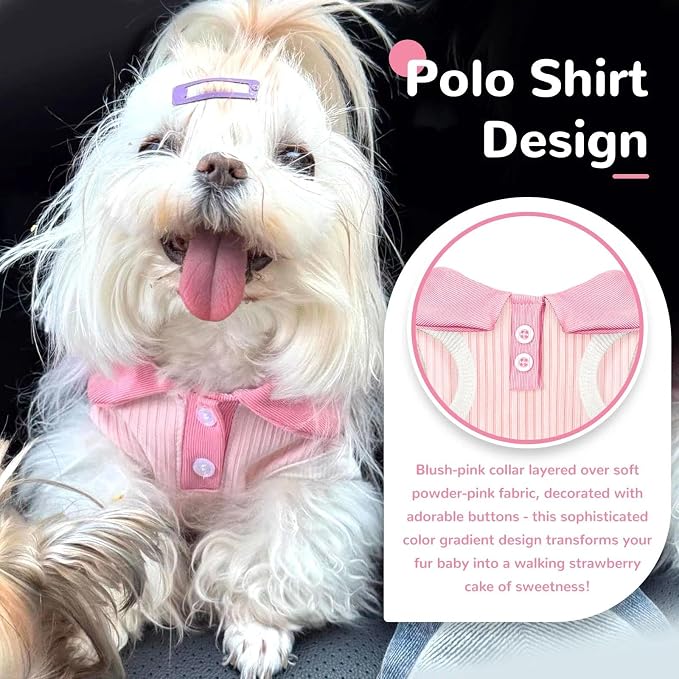 Dog Tshirts for Small Dogs Polo Shirt Stretchy Dog T Shirt Breathable Dogs Cooling Vest Girl Boy Puppy Dachshund French Bulldog Frenchie Chihuahua Clothes