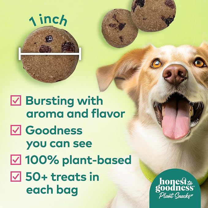Honest to Goodness Plant Snacks Cranberry & Pomegranate Dog Treats, 8 oz | Crunchy, Plant-Based, Buddy Boost Immune Support, Enriched with Omega 3 Fatty Acids, Fortified with Postbiotics, USA Made
