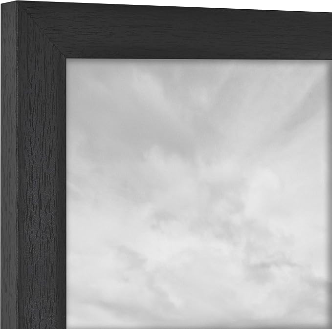 MCS Studio Gallery 14x22 Poster Frame Black Woodgrain Engineered Wood, Vertical & Horizontal Wall Hanging Large Picture Frame for Photos, Posters & Art Prints (2-Pack)