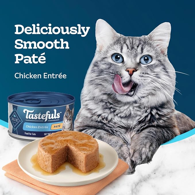Blue Buffalo Tastefuls Chicken Paté Wet Cat Food, 3 oz, 24 ct | Real Chicken First, Paté Style, No Chicken By-Product, Corn, Wheat, or Soy