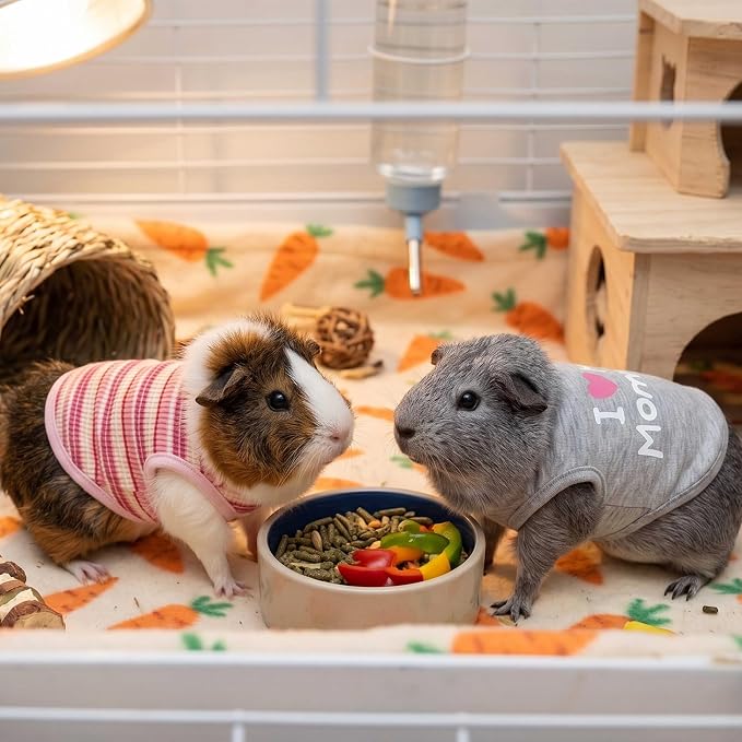 Guinea Pig Clothes (2-Pack), Striped Small Animal Vest T-Shirt | Soft Breathable Small Pet Apparel & Costume for Rat, Guinea Pig, Rabbit, Chinchilla, Ferret, Kitten