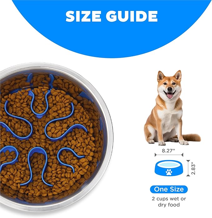 Outward Hound Fun Feeder Stainless Steel Slo Bowl for Dogs, Medium, 8.3"