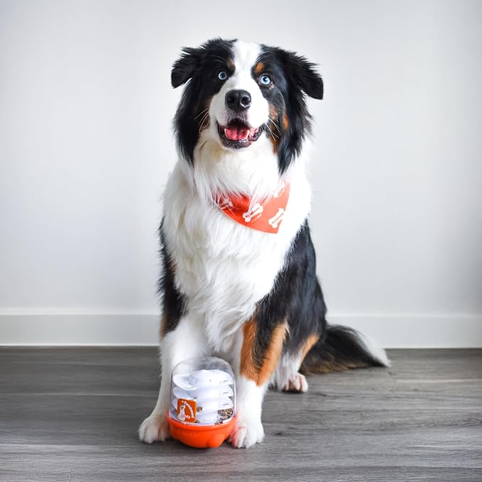 Nylabone Boop-N-Bobble Interactive Puzzle & Dog Treat Toy