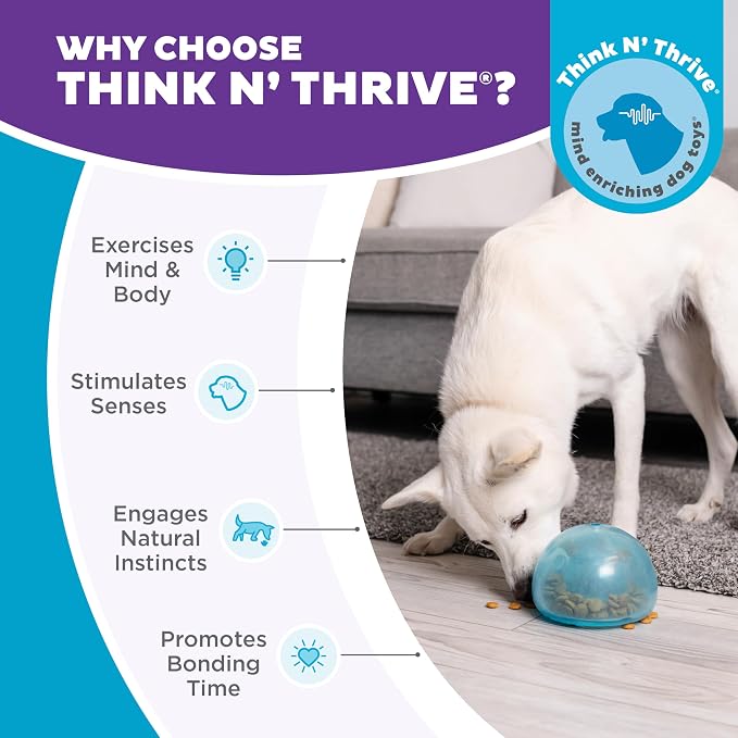 Outward Hound Snoop Interactive Treat Dispensing Dog Toy, Blue, 5" | Rolls & Bounces, Treat Stuffer, Puzzle Ball & Slow Feeder, Enrichment, Mint Scented, Easy Clean, No BPA, Medium to Large Dogs