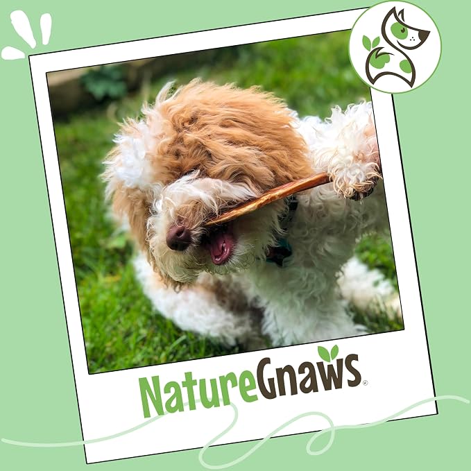 Nature Gnaws Large Bully Sticks 6" Rawhide Free Dog Chews, 3 Count | Thick Long Lasting for Aggressive Chewers and Large Dogs - Natural Beef Dog Chew Bones - No Artificial Preservatives