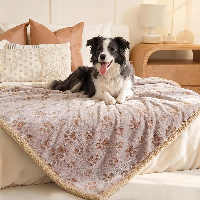 Luciphia Waterproof Dog Blanket Reversible Sherpa Fleece for Small Dogs Cat | Soft Print Pet Blanket Washable Pee Proof, Furniture Protector for Couch Sofa Bed Car, Cozy Throw(57" x 40", Khaki)