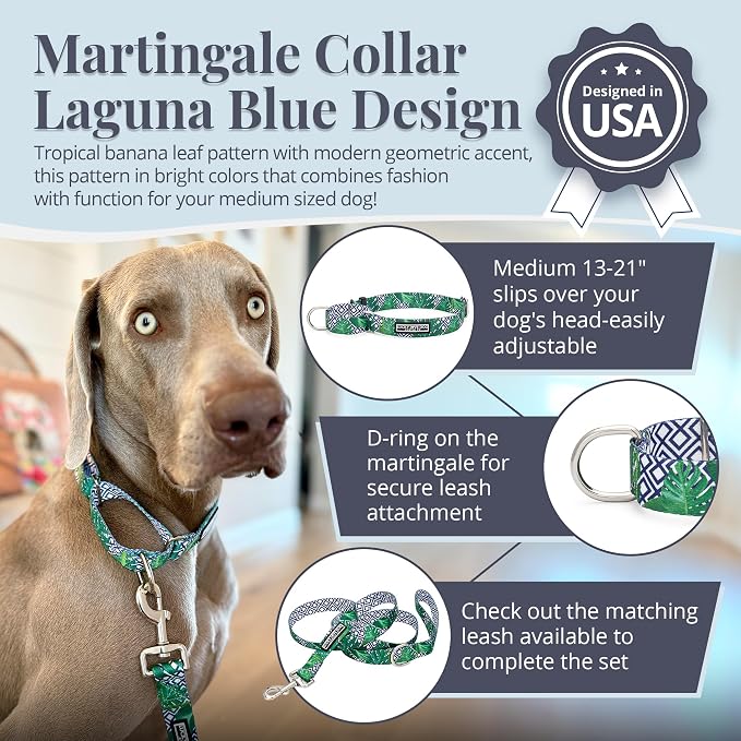 Lucky Love Dog Martingale Collar for Medium Dogs Cute – Blue Laguna, Medium