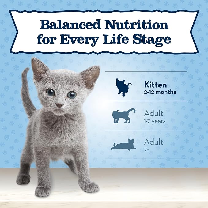 Blue Buffalo Baby Blue Chicken Kitten Paté Wet Cat Food, 3 oz, 6 ct | Real Chicken #1 Ingredient, Healthy Growth Formula, Made with DHA for Cognitive Development
