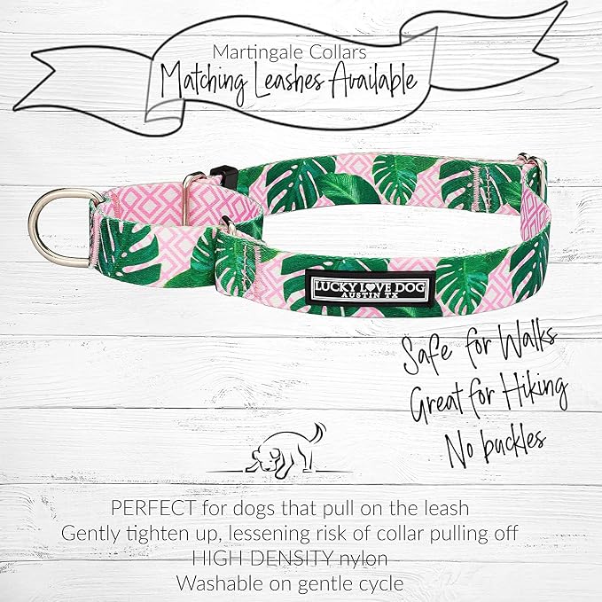 Lucky Love Dog Martingale Collar for Medium Dogs No Slip – Laguna, Medium