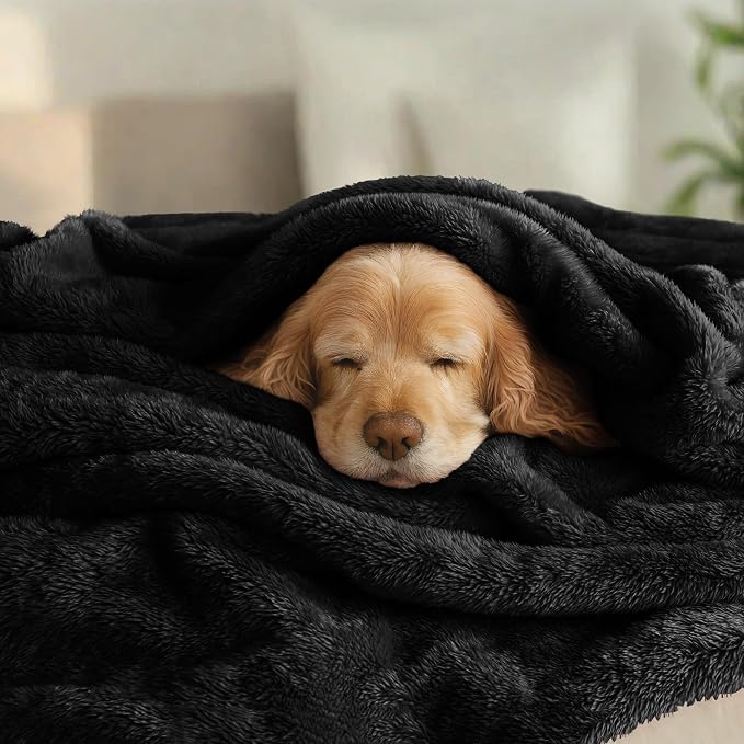 Exclusivo Mezcla Fuzzy Plush Fleece Bed Blanket Twin XL Size, Black | 90x66 Inches, Super Soft and Cozy Bed Blanket, Fluffy Blanket for Bed, College Dorm Room Essentials, All Season