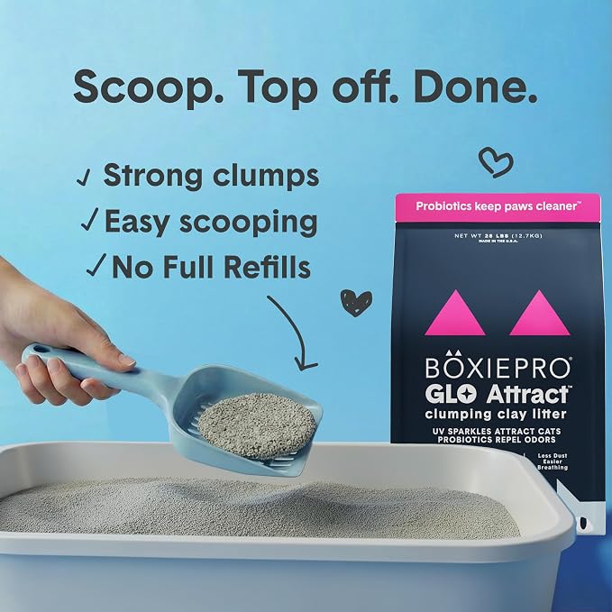 Boxie Glo Attract Clumping Cat Litter 40+ Day Odor Control Dust Free 28 lb