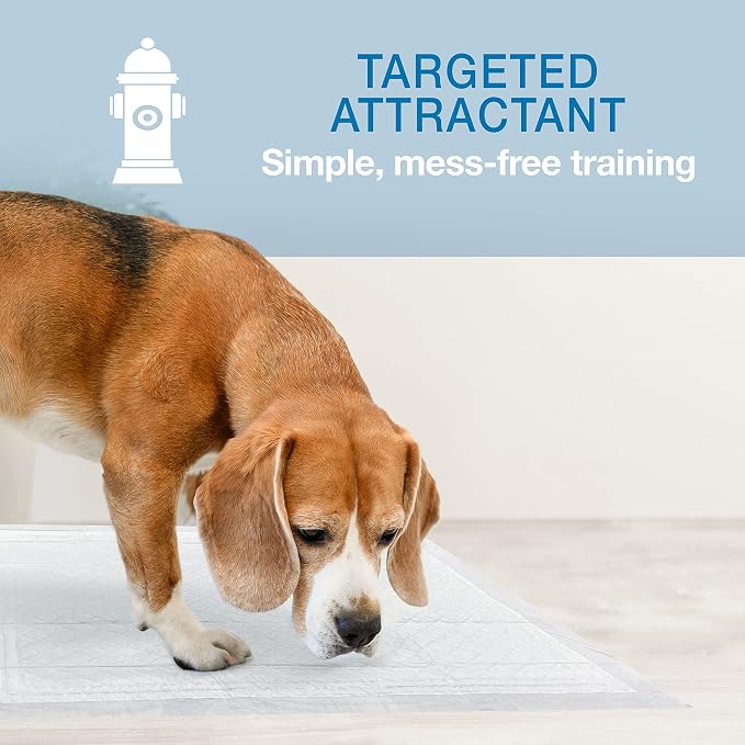Four Paws Wee-Wee Super Absorbent Insta-Rise Dog Pee Pads, 50 Count