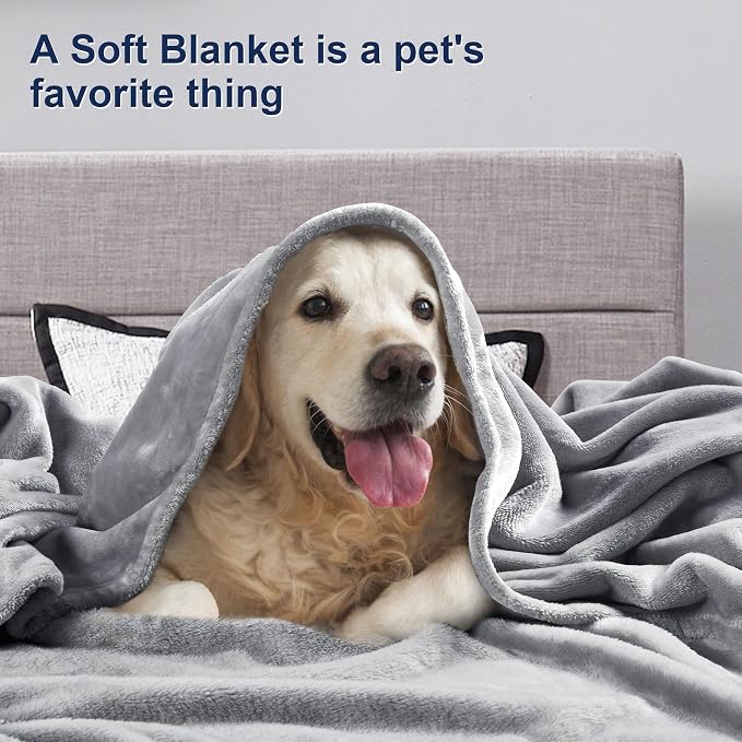 DREAMNINE Extra Large Soft Comfy Fluffy Fleece Bed Blanket King Size 90" x 108", Luxury Decorative Fuzzy Blanket for Women Girl, Big Cozy Gray Shaggy Warm Flannel Blankets for Winter Autumn Pets, Grey