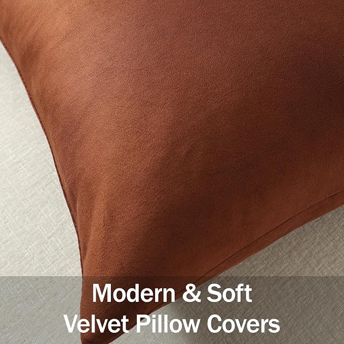 Throw Pillow Covers 22x22 Reddish Brown: Pack of 2 Cozy Soft Velvet Square Modern Luxury Decorative Throw Pillow Cases for Sofa Couch Living Room Bed Home Decor