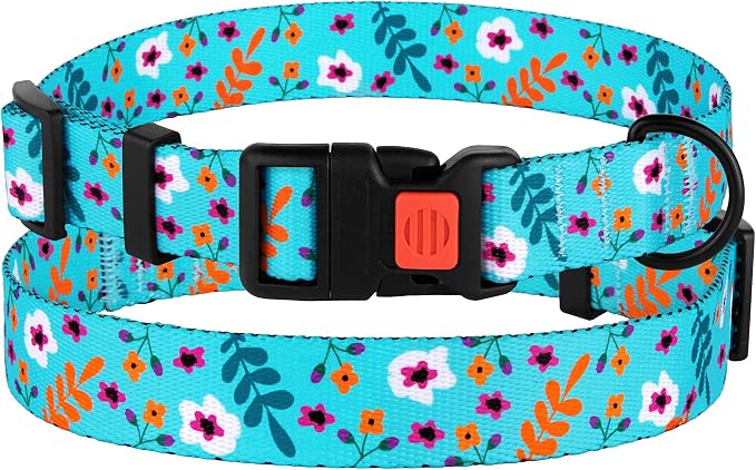 Nylon Dog Collar Floral Pattern Aquamarine 12-16 inch