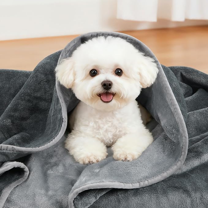 LOOBANI Waterproof Dog Blanket for Small Dogs, Pet Blanket 30" x 40", Grey | Double Side Liquid-Proof, Puppy Blanket for Dog Cat Bed, Crate, Playpen, Reversible Soft Flannel Couch Cover Throw