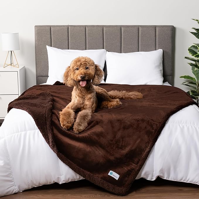 PetAmi Waterproof Dog Blanket for Large Dog Pet, 90x90 Queen, Brown Sherpa | 460 GSM Sherpa Fleece Reversible, Pee Proof Cat Blanket, Furniture Protector Cover for Bed Sofa Kennel, Washable, Queen Size