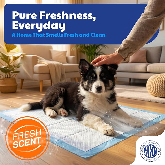 AKC Puppy Training Pads, 22" x 22", Fresh Scent,100 Count