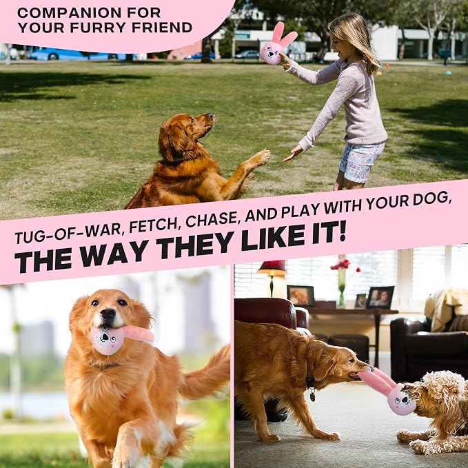 Fida Squeaky Dog Toys for Aggressive Chewers, 3 in 1, Tough Dog Ball