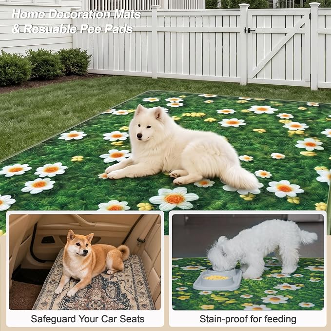 Washable Pee Pads for Dogs, Reusable Puppy Potty Training Pads, Ultra-Absorbent Thick Waterproof Leak-Proof Non-Slip Pads & Mat for Crate, Playpen, Floor, Whelping & Housebreaking , 2 Pack 24"x36"