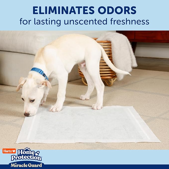 Hartz Miracle Guard Dog and Puppy Dog Pads Max Absorbency 24 Hour Use Odor Eliminating No Leaks, 2XL Size 20 Count