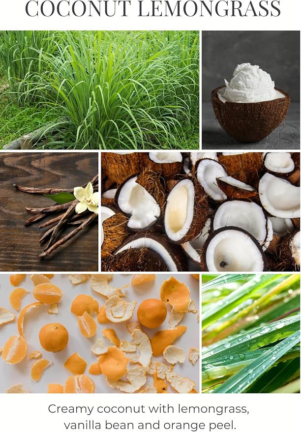 Eco Candle Co. Coconut Lemongrass Tea Light Candles, 10-Pk, 9 Hr Burn Time | Scents of Coconut, Lemongrass, Vanilla, & Orange - Recyclable, No Lead, Hand Poured, Midwest Soybeans, .6 oz. Each