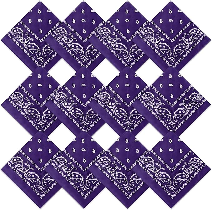 Suhine 12 Pcs Bandanas Bulk 22 x 22 Inch Paisley Headband Cowboy Handkerchief Christmas Thanksgiving Gift for Women Men