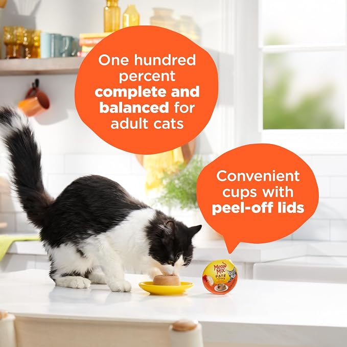 Meow Mix Paté in Gravy, Wet Cat Food with Real Chicken & Tuna, 12 Cups