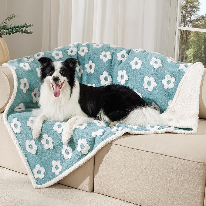 Luciphia Waterproof Dog Blanket for Large Dogs Cats Soft Reversible Fleece | Puppy Pet Blanket, Indoor Cats, Washable Cute Cozy Throw, Bed Cover, Couch Furniture Protector Gift(67" x 57", Blue)