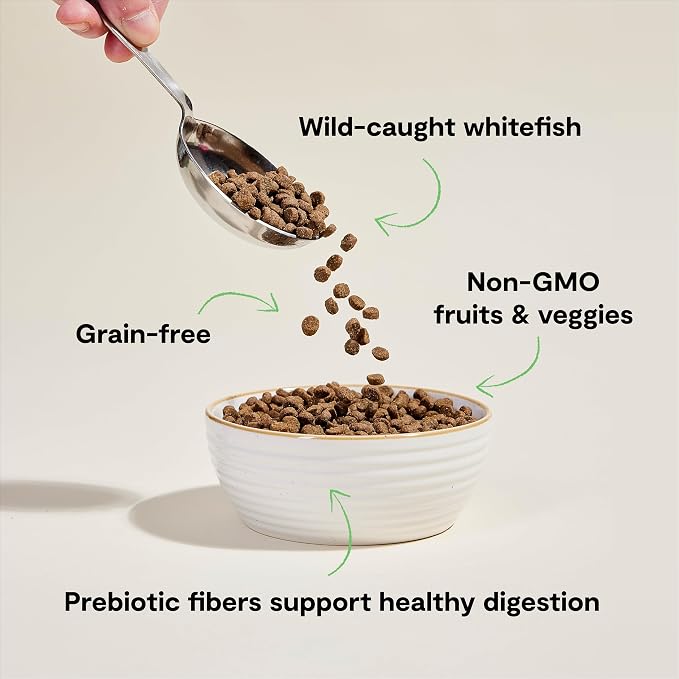 Open Farm Grain Free Dry Cat Food, Wild-Caught Whitefish Kibble, 8lb Bag | All Life Stages, High Protein, Prebiotic Fibers, 100% Traceable Ingredients, Non-GMO Fruits & Veggies.