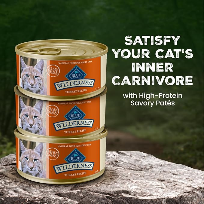 Blue Buffalo Wilderness Turkey Paté Adult Wet Cat Food, 5.5 oz, 24 ct | Real Turkey #1 Ingredients, High Protein & Grain-Free Recipes, Supports Energy for an Active Life