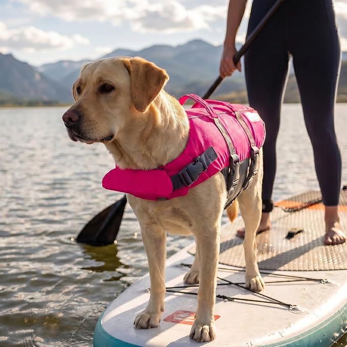 Outward Hound Granby Splash Dog Life Jacket, Life Vest, Pink, Large | Max Buoyancy, Adjustable Fit, Head/Neck Support, Rescue Handle, Reflective, Swimming & Boating, Large Dogs (28–32" Girth)