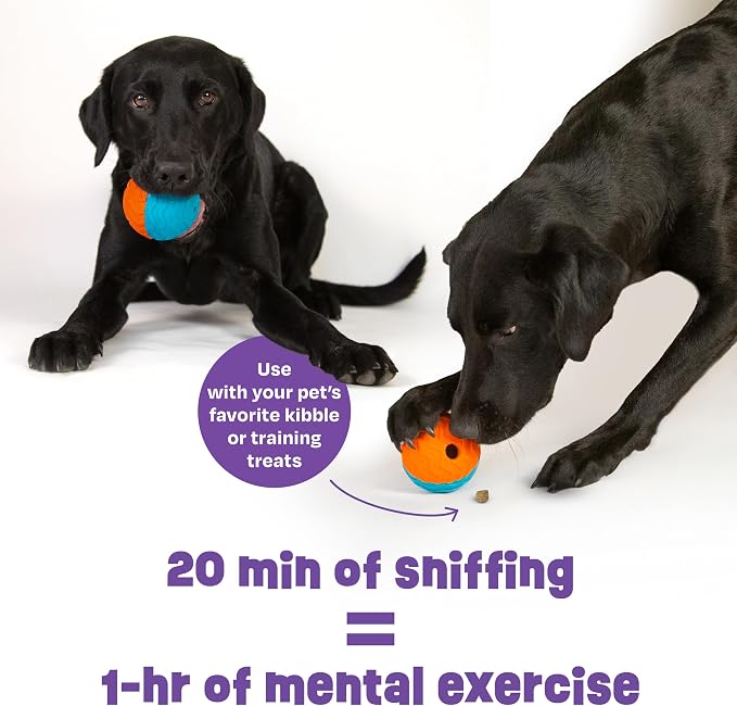 Brightkins Tough & Tumble 2 Piece Treat Dispenser: Small Textured Ball - Interactive Dog Toys, Enrichment Toys for Dogs, Dog Treat Dispensing Ball, Brain Training for Dogs, Puppy Slow Feeder, Pet Toy