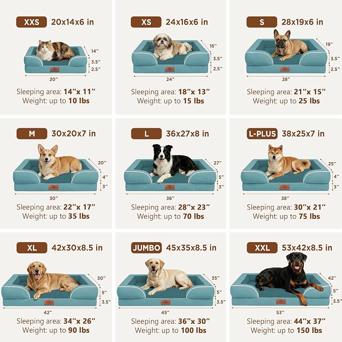 Comfort Expression Waterproof Orthopedic Dog Bed for Medium Size Dog | Supportive Egg Crate Foam Medium Pet Bed with Removable Bolsters, Dog Couch with Washable Cover & Non-Slip Bottom, 30x20 Inch