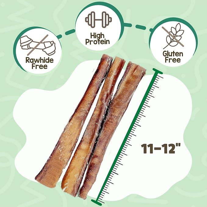 Nature Gnaws Large Bully Sticks 6" Rawhide Free Dog Chews, 15 Count | Thick Long Lasting for Aggressive Chewers and Large Dogs - Natural Beef Dog Chew Bones - No Artificial Preservatives