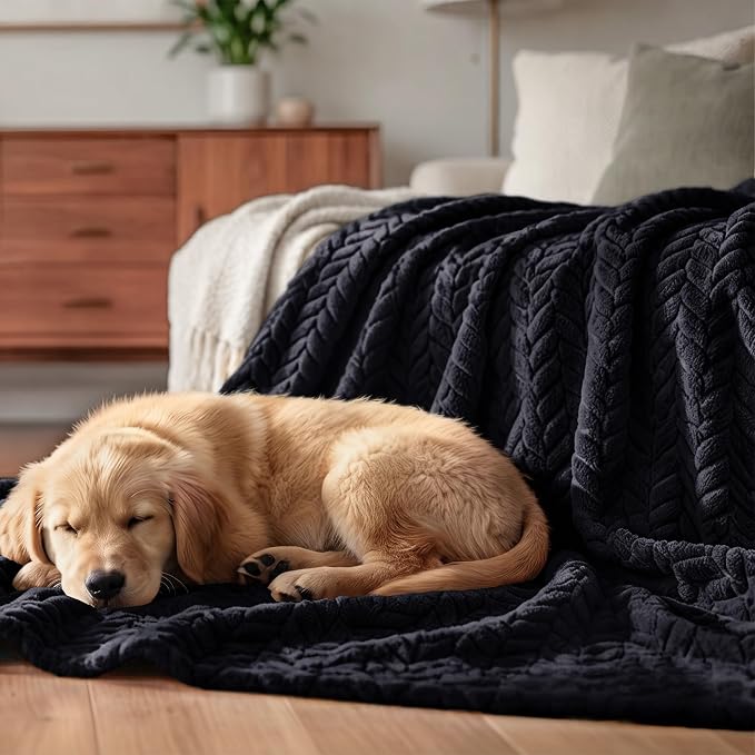 Exclusivo Mezcla Soft Fleece Bed Blanket Queen Size, 90”x90”, Black | Cozy Fluffy Lightweight Blankets for Summer, Decorative Plush Flannel Throws for Living room, Bedroom with Leaves Pattern