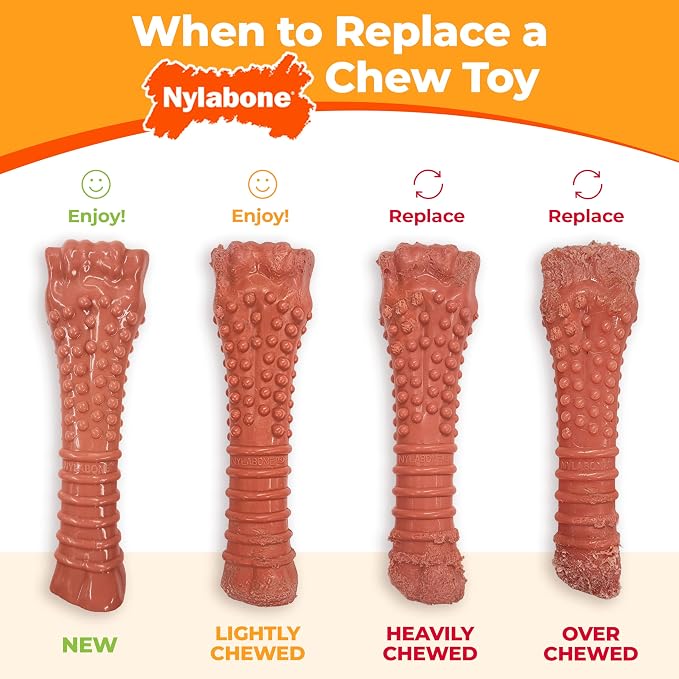 Nylabone Power Chew Knuckle Bone & Pop-In Dog Treat Toy, X-Small