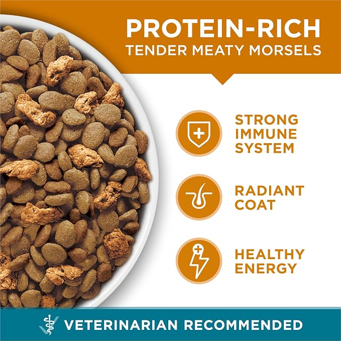 Purina ONE Natural Dry Cat Food, Tender Selects Blend With Real Chicken - 22 lb. Bag