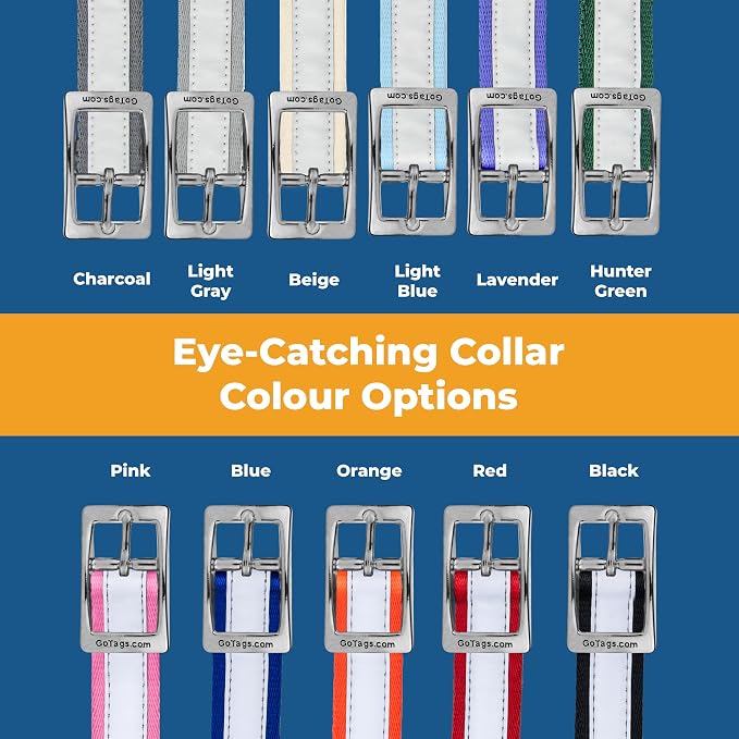 GoTags Embroidered Reflective Dog Collars with Metal Buckle, Personalized Dog Collar Custom Embroidered with Pet Name and Phone Number, Sizes for Puppy and Dogs Extra Small, to Medium and Large
