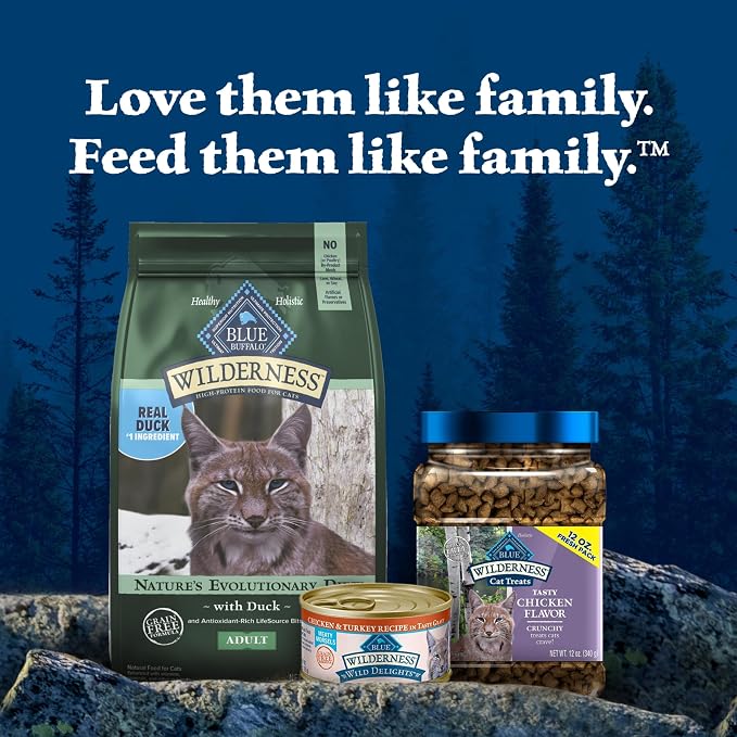 Blue Buffalo Wilderness Duck Adult Dry Cat Food, Grain-Free, 5 lb | Real Duck #1 Ingredient, High Protein & Grain-Free Recipe, Supports Immunity with Antioxidant-Rich LifeSource Bits