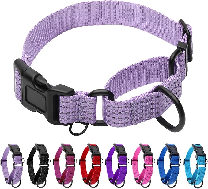 Martingale Dog Collar, Reflective No Pull with Buckle, Lavender, L